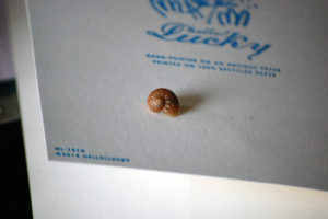 Snail on Christmas Card, ©Rose De Dan www.reikishamanic.com