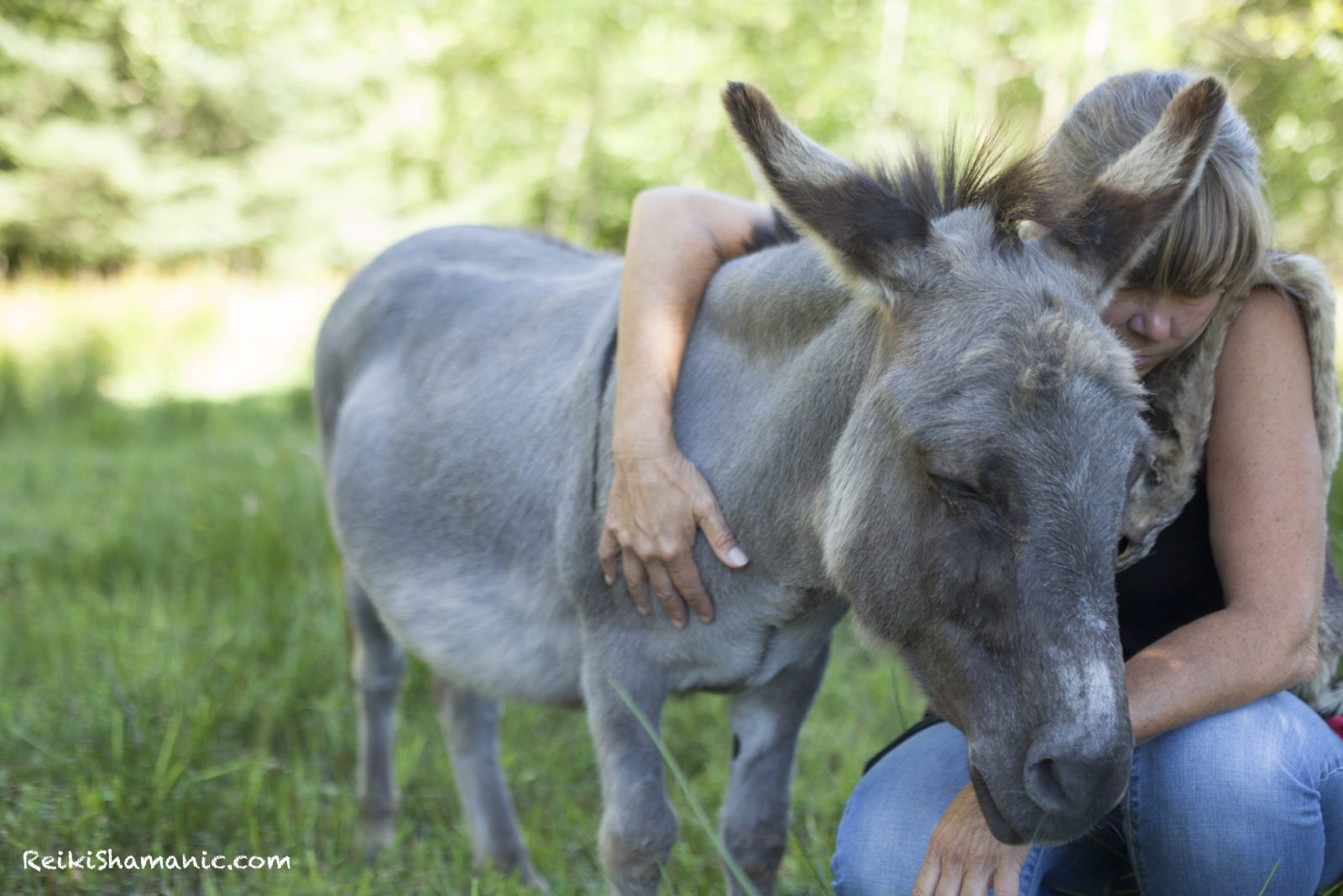 Rose Offers Reiki To Donkey Chip, ©Annie Marie Musselman