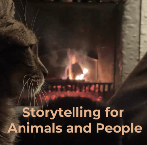 Storytelling Videos For Animals And People
