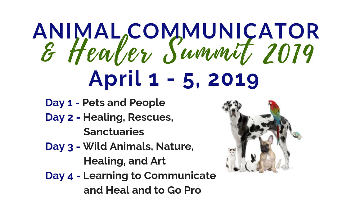 An Invitation To The 2019 Animal Communicator And Healer Summit