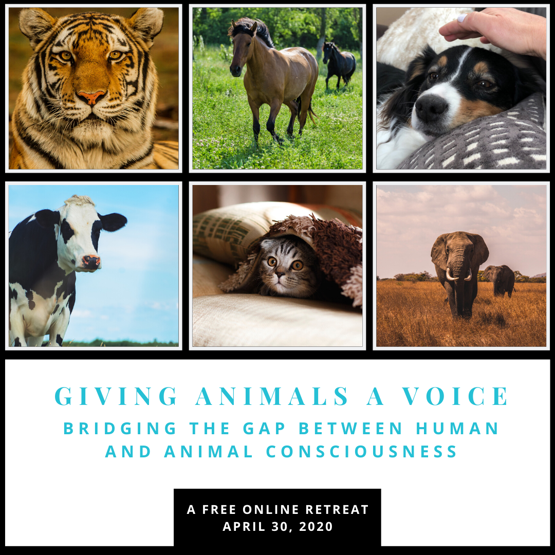 Giving Animals A Voice—a Free Online Retreat!