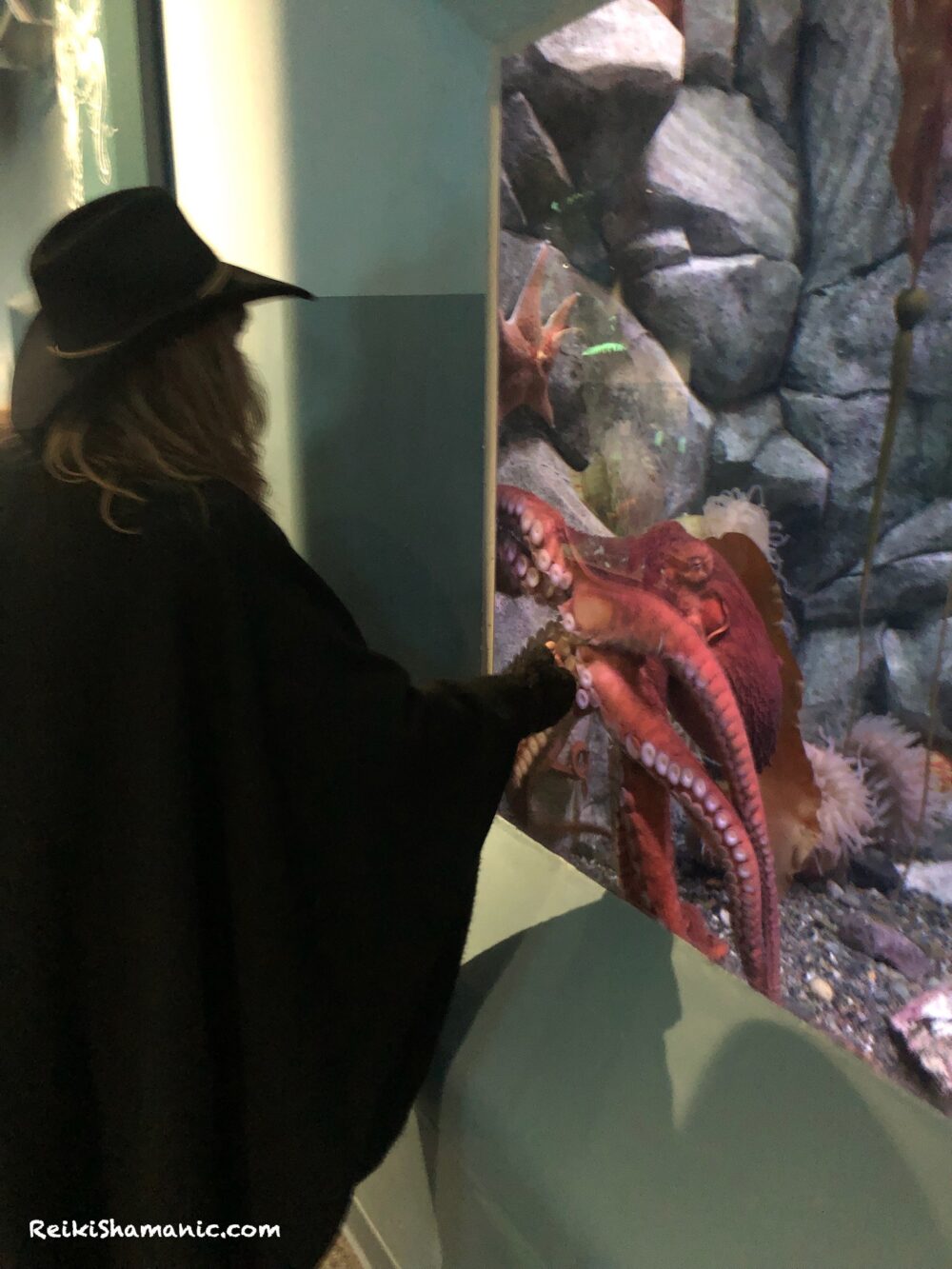 Rose De Dan Offers Reiki Energy Healing To Giant Pacific Octopus