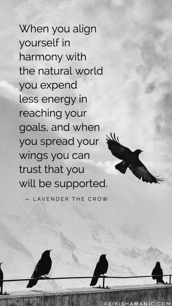 Graphic of crows with shamanism animal communication inspirational quote: When you align yourself in harmony with the natural world you expend less energy in reaching your goals, and when you spread your wings you can trust that you will be supported."