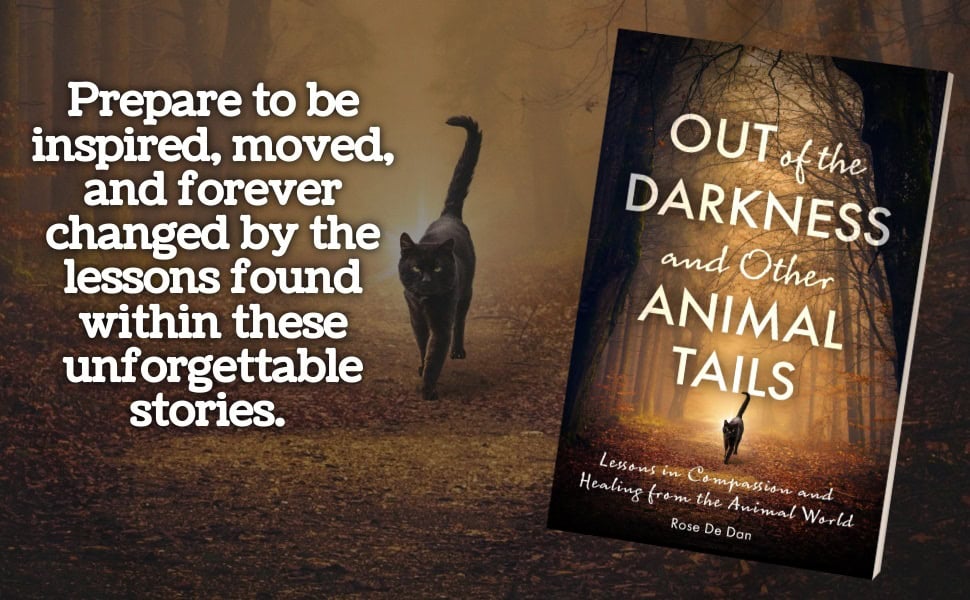 New Book Cover Reveal And Pre-Orders Open For Out Of The Darkness And Other Animal Tails