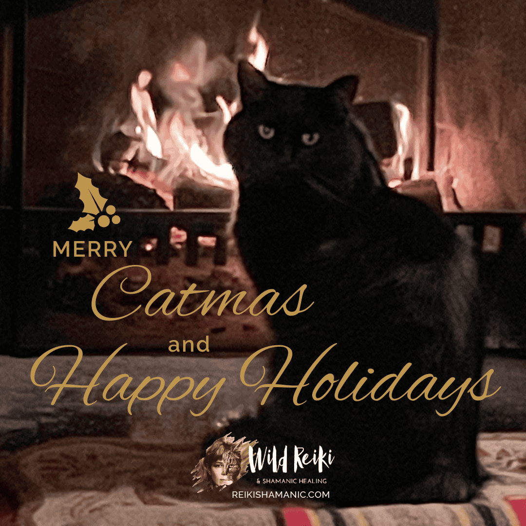 Merry Catmas And Happy Holidays Black Cat NIght Sky By Fire At Wild Reiki And Shamanic Healing