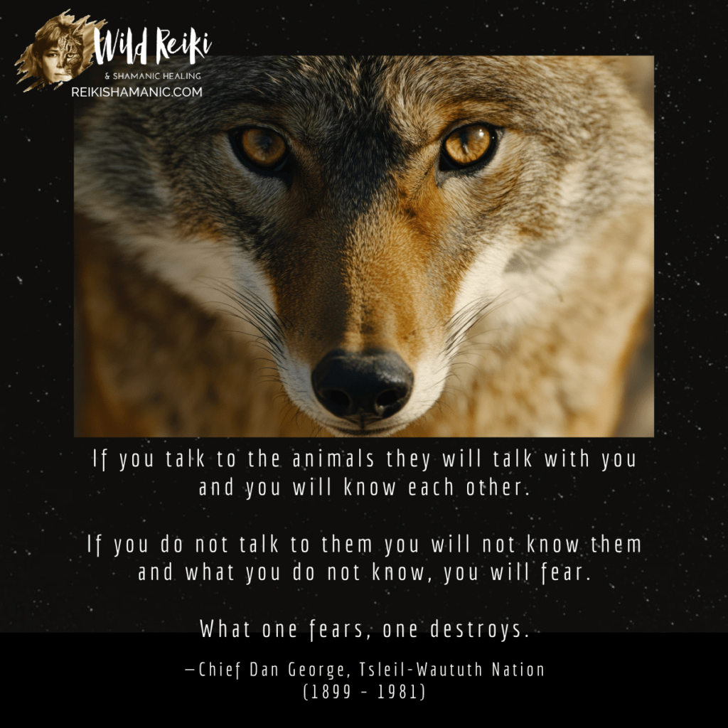 If You Talk To The Animals They Will Talk With You And You Will Know Each Other. If You Do Not Talk To Them You Will Not Know Them And What You Do Not Know, You Will Fear. What One Fears, One Destroys.—Chief Dan George, Sunday Wisdom Quote, ©Rose De Dan, ReikiShamanic.com