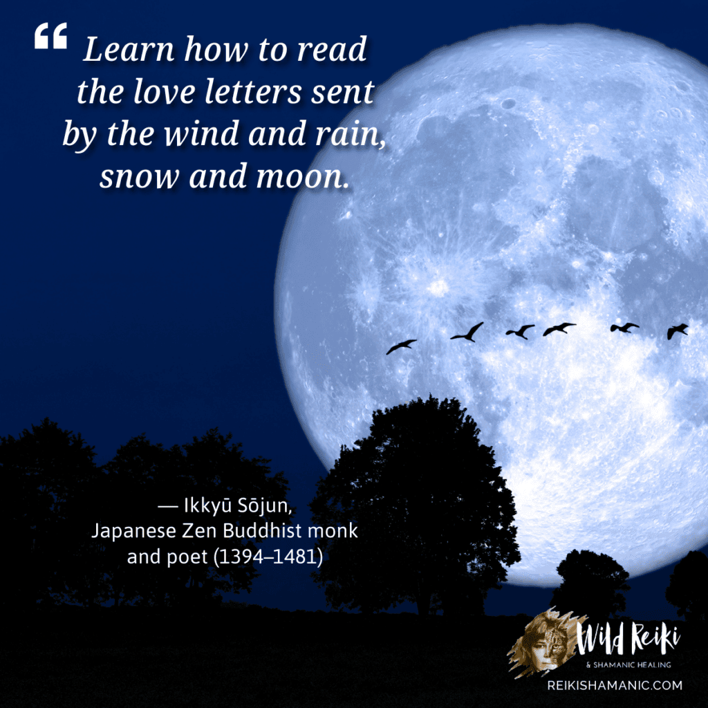 Sunday Wisdom Quote Read Love Letters Wind Rain Snow Moon Ikkyu Sojun Quote, ©Rose De Dan, ReikiShamanic.com