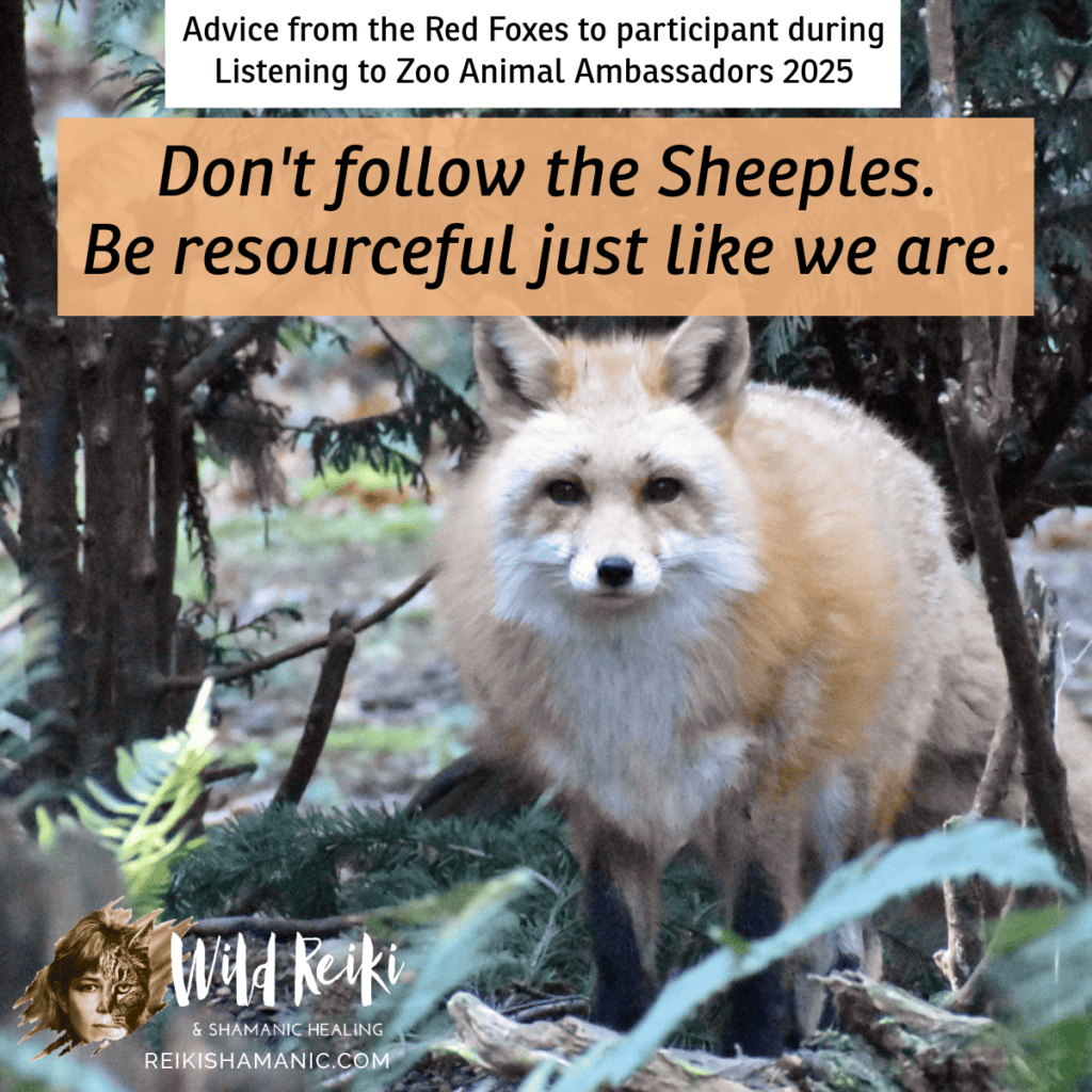 Sunday Wisdom From The Red Foxes Don't Follow The Sheeples Quote, ©Rose De Dan, ReikiShamanic.com