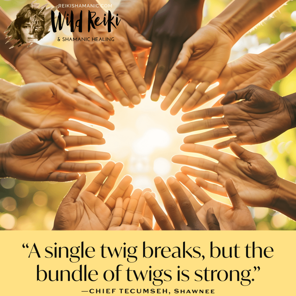 A Single Twig Breaks, But The Bundle Of Twigs Is Strong Tecumseh Sunday Wisdom Inspirational Quote, ©Rose De Dan, ReikiShamanic.com