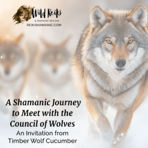 What It Means To Be Pack: Shamanic Journey To Meet With The Council Of Wolves