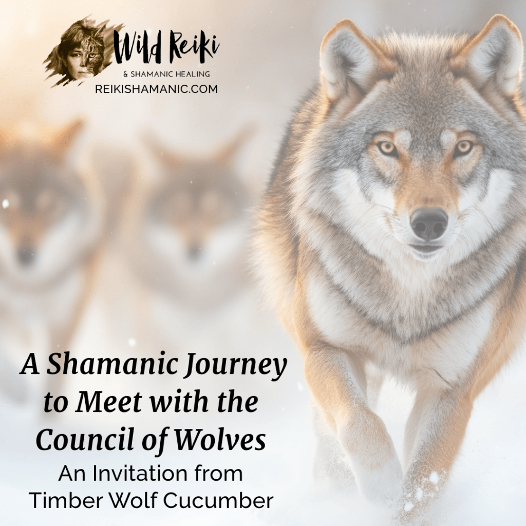 What It Means To Be Pack: Shamanic Journey To Meet The Council Of Wolves, © Rose De Dan, ReikiShamanic.com