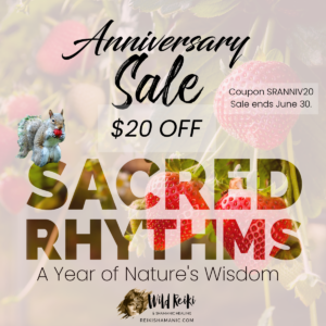Celebrating One Year Of Sacred Rhythms Anniversary Sale