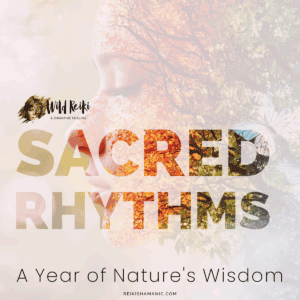 Sacred Rhythms: A Year Of Nature’s Wisdom
