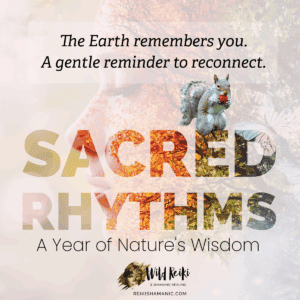 Sacred Rhythms: A Year of Nature's Wisdom, The Earth remembers you. A gentle reminder to reconnect with Squirrel eating a strawberry. ©Rose De Dan, ReikiShamanic.com