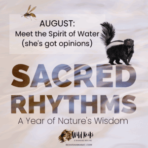 Sacred Rhythms August Water Shamanic Journey Raccoons, Skunk, Yellow Jackets stories, ©Rose De Dan, ReikiShamanic.com