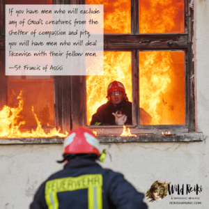Compassion In Action Sunday Wisdom Quote