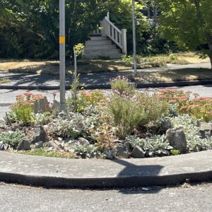 Hope, Replanted