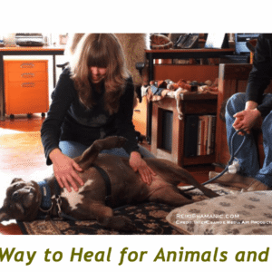 The Other Work Of Being A Healer